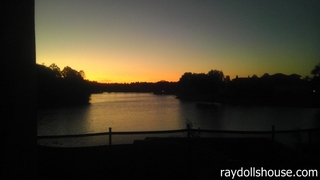 RaydollsParties, photo #6839