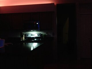 Raydolls Influencers