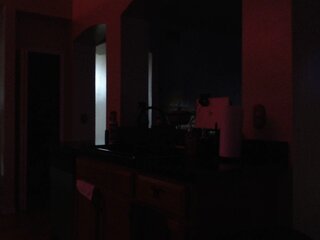 Raydolls Influencers