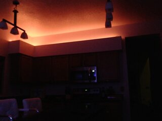 Raydolls Influencers