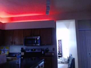 Raydolls Influencers