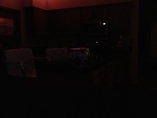 Raydolls Influencers