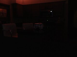 Raydolls Influencers