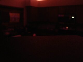 Raydolls Influencers