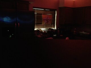 Raydolls Influencers