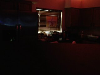 Raydolls Influencers