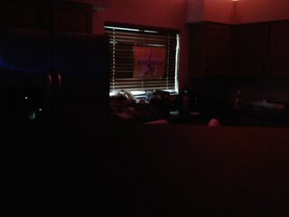 Raydolls Influencers