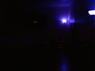 Raydolls Voyeur Fetish