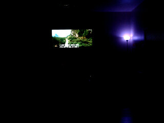 Raydolls Voyeur Fetish