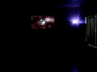 Raydolls Voyeur Fetish