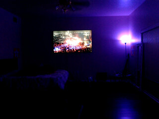 Raydolls Voyeur Fetish