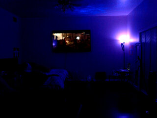 Raydolls Voyeur Fetish