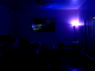 Raydolls Voyeur Fetish