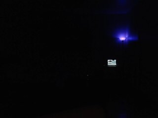 Raydolls Voyeur Fetish