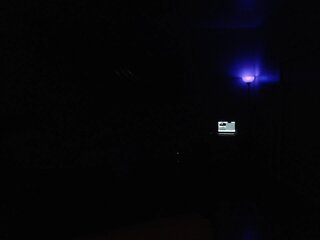 Raydolls Voyeur Fetish