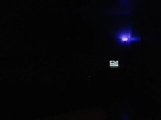 Raydolls Voyeur Fetish