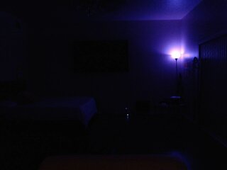 Raydolls Voyeur Fetish