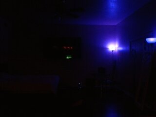 Raydolls Voyeur Fetish