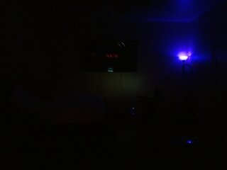 Raydolls Voyeur Fetish