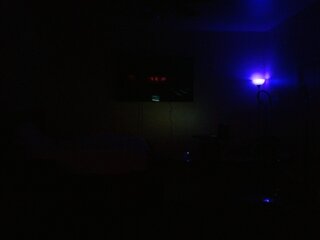 Raydolls Voyeur Fetish