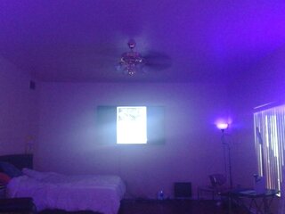 Raydolls Voyeur Fetish