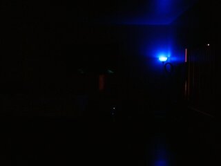 Raydolls Voyeur Fetish