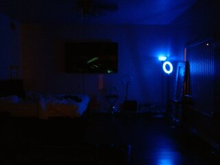 Raydolls Voyeur Fetish