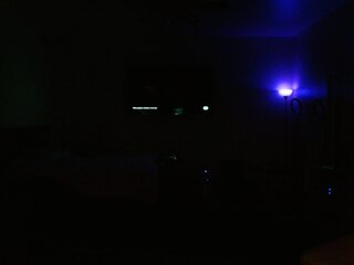 Raydolls Voyeur Fetish