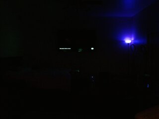 Raydolls Voyeur Fetish