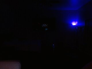 Raydolls Voyeur Fetish