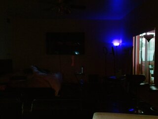 Raydolls Voyeur Fetish