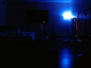 Raydolls Voyeur Fetish