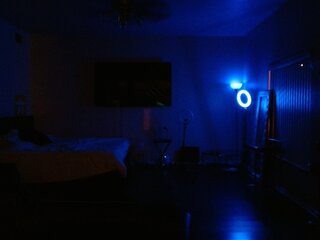 Raydolls Voyeur Fetish