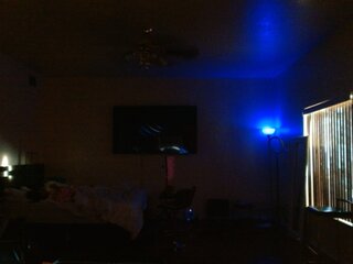 Raydolls Voyeur Fetish