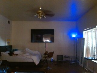 Raydolls Voyeur Fetish