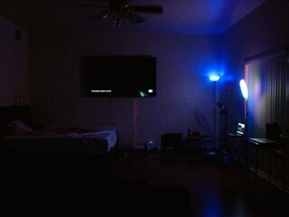 Raydolls Voyeur Fetish