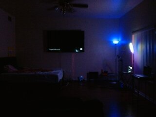 Raydolls Voyeur Fetish