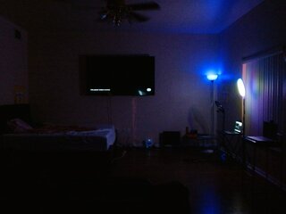 Raydolls Voyeur Fetish