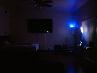 Raydolls Voyeur Fetish