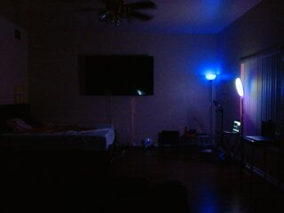 Raydolls Voyeur Fetish