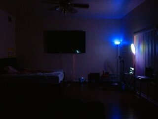 Raydolls Voyeur Fetish