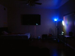 Raydolls Voyeur Fetish