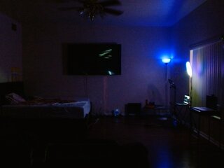 Raydolls Voyeur Fetish