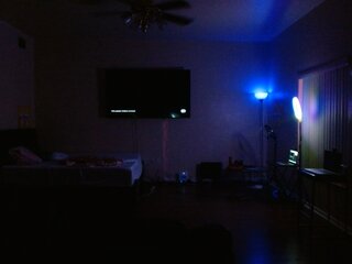 Raydolls Voyeur Fetish