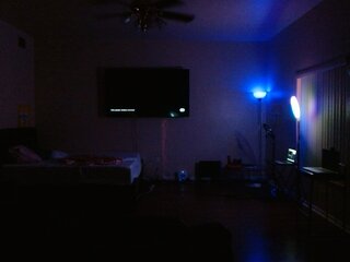 Raydolls Voyeur Fetish