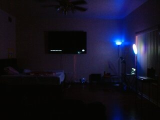 Raydolls Voyeur Fetish