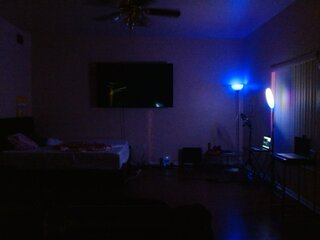 Raydolls Voyeur Fetish