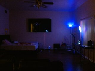 Raydolls Voyeur Fetish