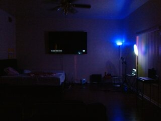 Raydolls Voyeur Fetish