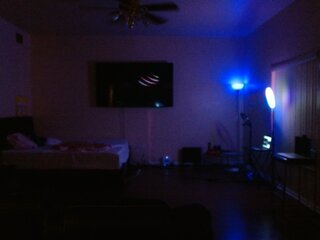 Raydolls Voyeur Fetish